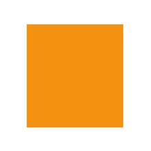Cartulina Jiss Color Plus 50x65cm Naranja