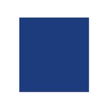 Cartulina Jiss Color Plus 50x65cm Azul Ultramar