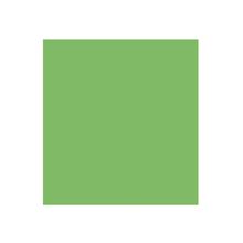 Cartulina Jiss Color Plus 50x65cm Verde Limón