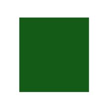 Cartulina Jiss Color Plus 50x65cm Verde Abeto