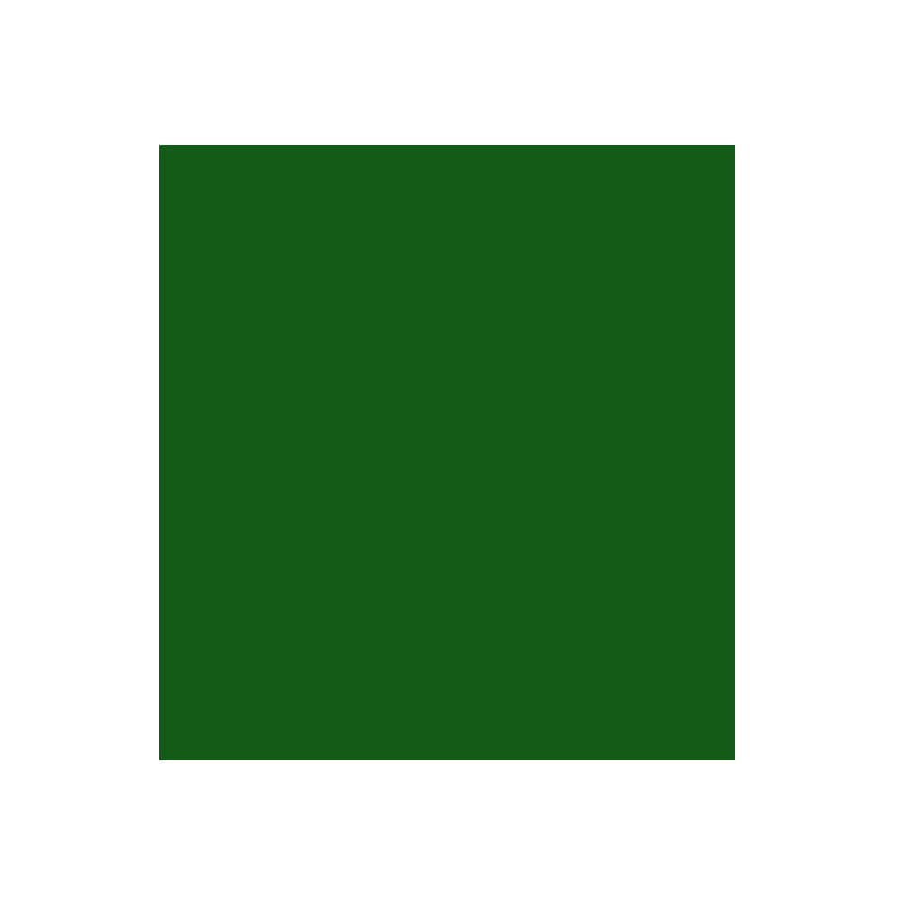 Ofiarea. Cartulina grande 50x 65 cm. Verde Manzana (630486)