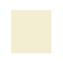 Cartulina Jiss Color Plus 50x65cm Beige