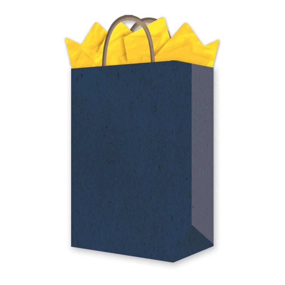 Bolsas de regalo de papel kraft azul real con papel de seda, 24 piezas de  10.6 x 7.9 x 4.3 pulgadas, bolsas de regalo medianas con asas para