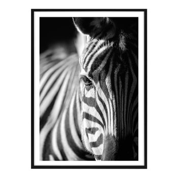 Cuadro Decorativo Zebra