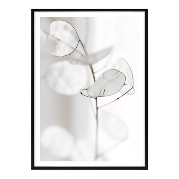Cuadro Decorativo White Petals