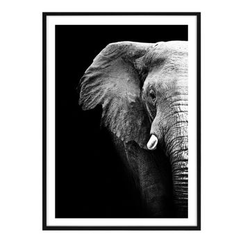 Cuadro Decorativo Elefante