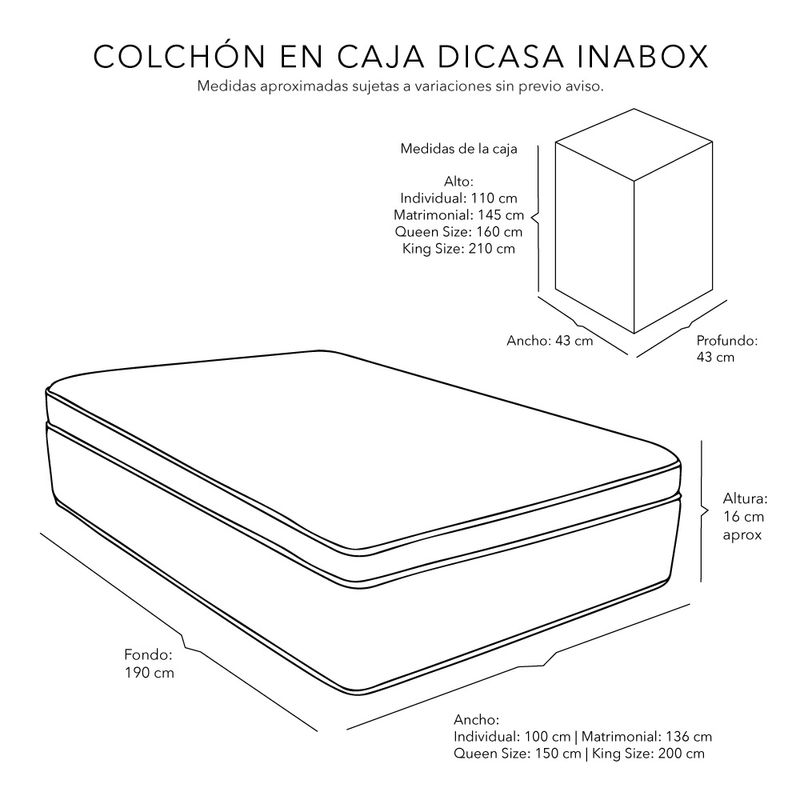 DBOX-O-SAS-PR-ED_9.jpg