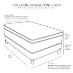 X-TRIN-OrAz-2P-CC-SO-ED.jpg
