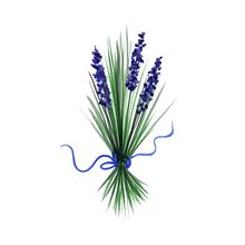 Pincel Profesional Roel Liner Largo Pelo Natural S-850-0