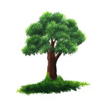 Pincel Profesional Roel Plano Cerda Natural S-610-18