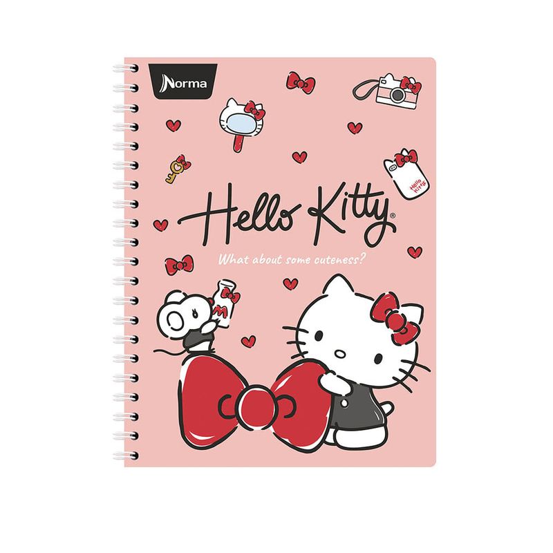 Cuaderno-Hello-KItty_9.jpg
