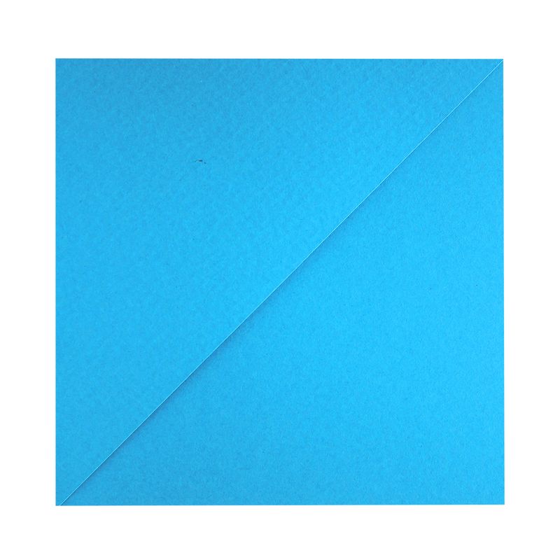 501262871_2.jpg