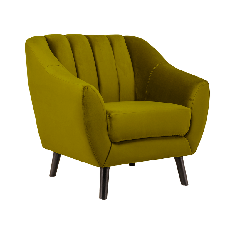 DOR1PLZ-OLIV.2.png