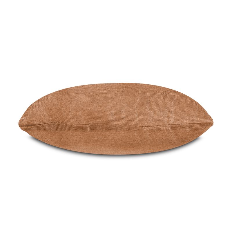 PETRA-5030-MAND-3.jpg