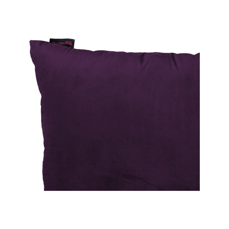 BELEM-5050-UV.2.png