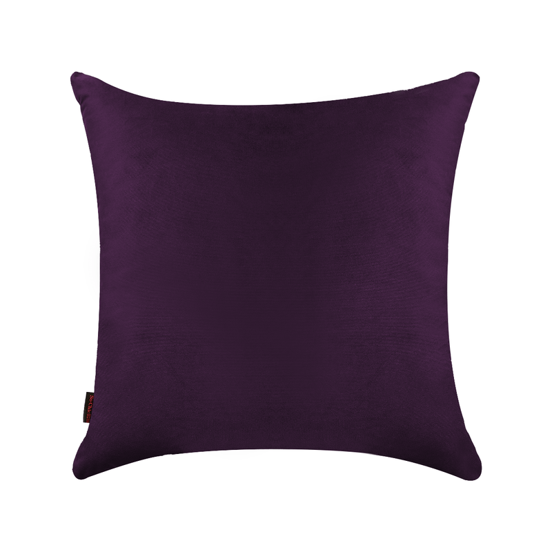 BELEM-6060-UV..png