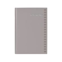 Agenda Diaria 2026 Danpex Shot Plata