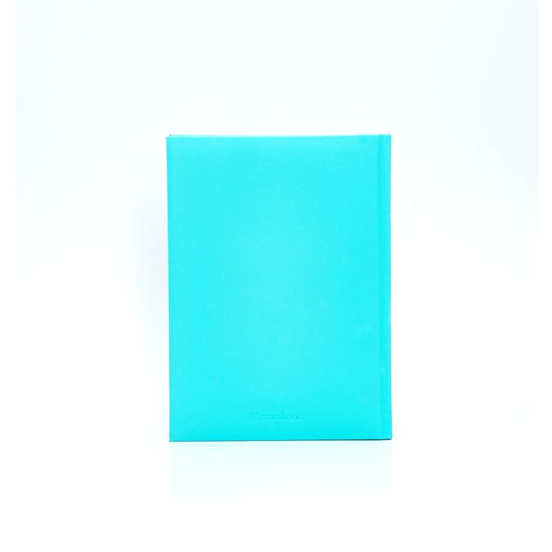 501344851-03