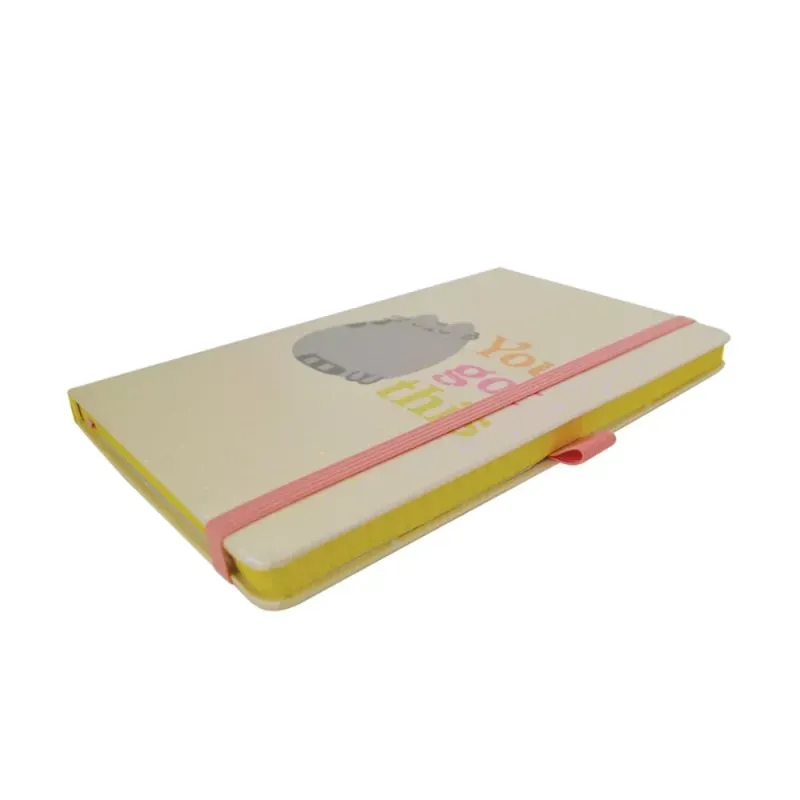 libreta_ejecutiva_danpex_raya_pusheen_you_got_this_inclinada