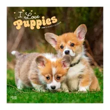 Calendario 2026 Puppies