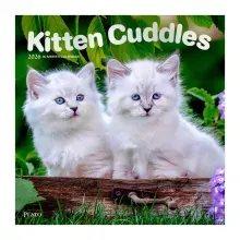 Calendario 2026 Kitten Cuddles