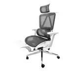 silla_ejecutiva_aoku_ergonomica_pro_blanca