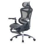 silla_ejecutiva_randu_ergomax_soporte_lumbar_reposapies_negra