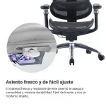 silla_ejecutiva_randu_ergomax_soporte_lumbar_reposapies_negra
