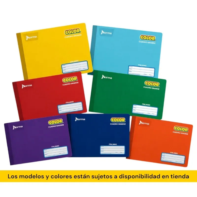 cuaderno_forma_italiana_cuadro_grande_norma_color_100_hojas