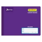 cuaderno_forma_italiana_cuadro_grande_norma_color_100_hojas