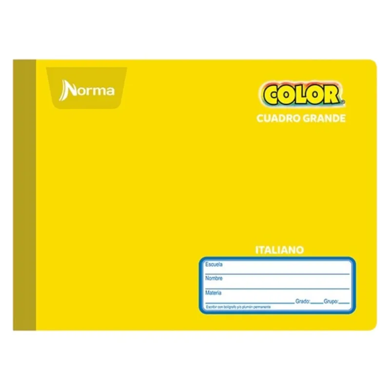 cuaderno_forma_italiana_cuadro_grande_norma_color_100_hojas