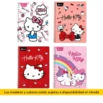 cuaderno_profesional_cuadro_grande_norma_hello_kitty_100_hojas